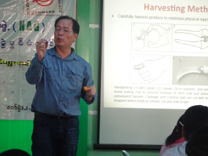 Dr. Martin Lo explains GAPs for harvesting by showing the proper techniques with an orange and improper techniques with a grape. (NAG’s training hall, Magway, Feb.2016)