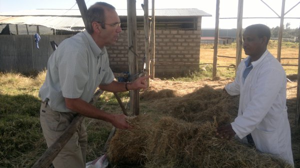 Bill Goeres on a dairy farm in Ethiopia