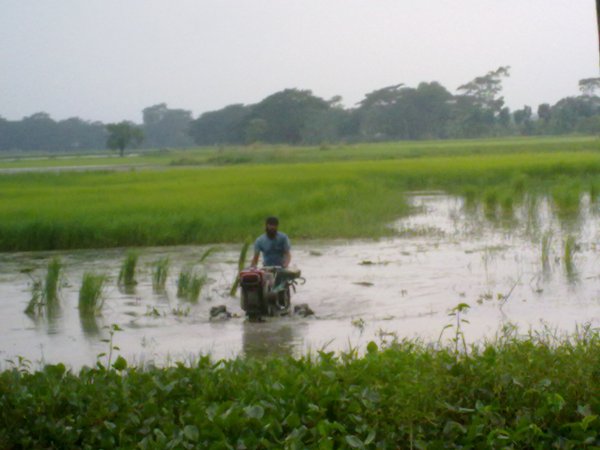 Motorized water buffalo