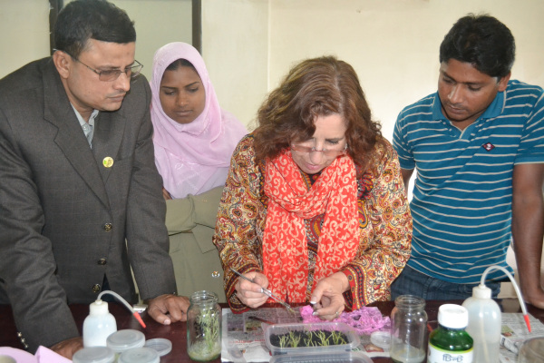 Susana shows improved methods for planting plantlets