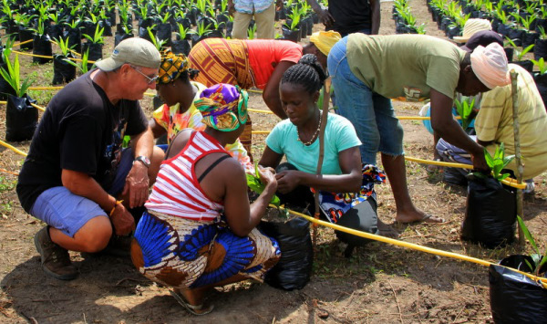 Volunteer Istvan Keri supervises drip irrigation installation