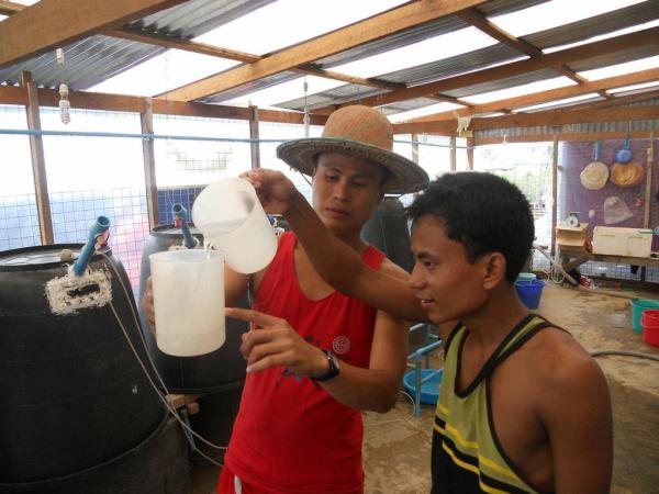 Hatchery technicians participate in training on new methods of brine shrimp production