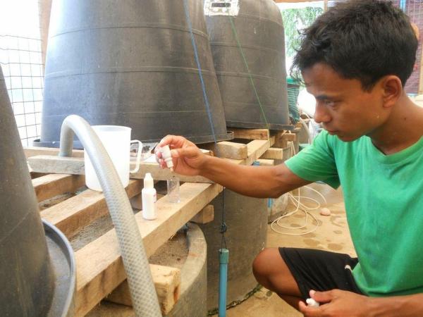 Hatchery technician conducts water quality measures