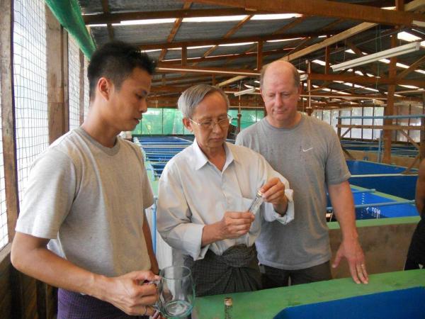 Volunteer, Mike Frinsko, and hatchery staff collect prawn larvae for health screening