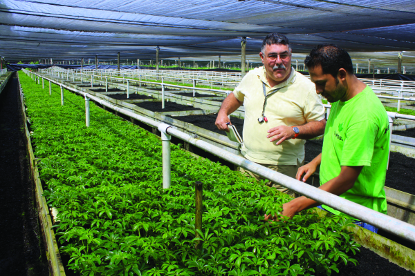 Volunteer Alejandra Zegarra trains nursery producers