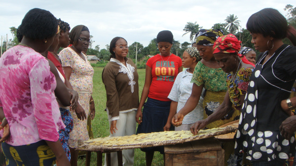volunteer-virginie-zoumenou-educating-women_yam-processing-techniques_nig224