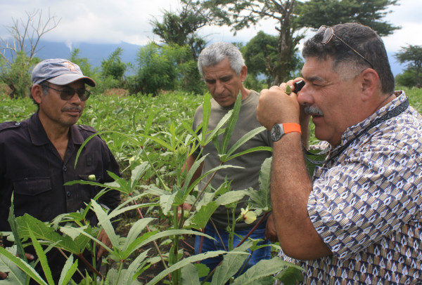 In El Salvador, volunteer Alejandro Segarra-Carmona (right) shows local farmers how to apply sustainable pest control techniques to their crops. Segarra-Carmona came here to provide good agricultural practice training, integrated pest management and quality standards. Trainees will apply these techniques to increase production and improve quality.