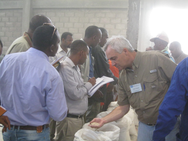 Examining Feed Samples