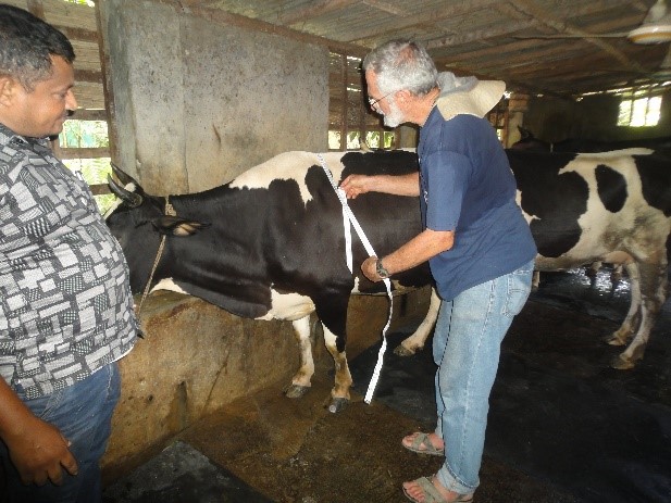 cow_dr-miller