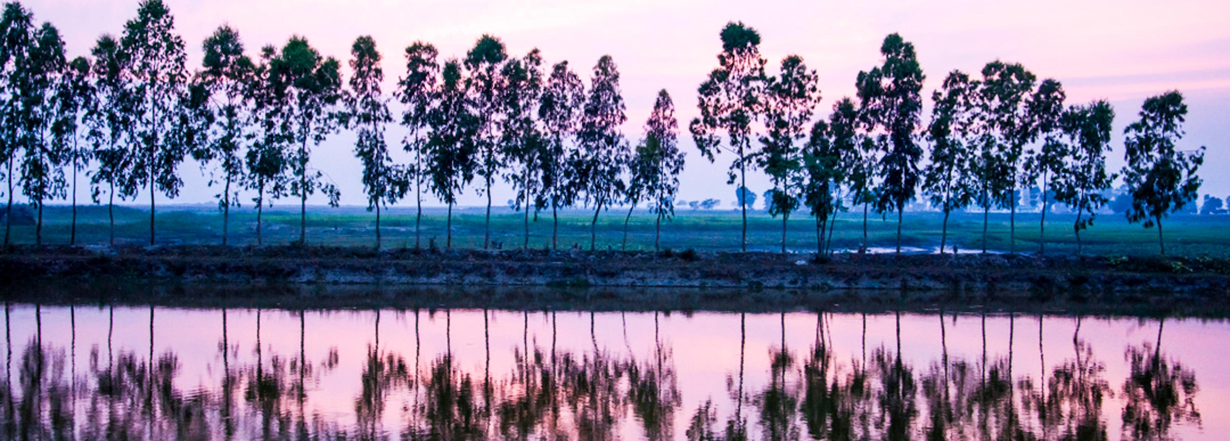winrock international bangladesh